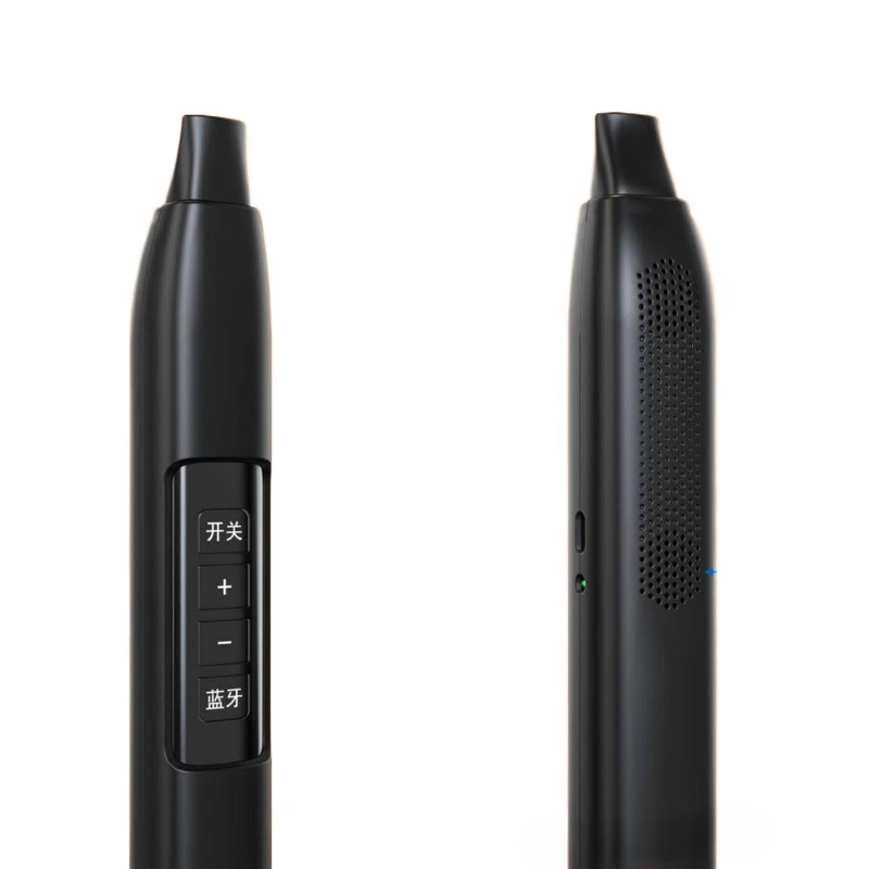 Portable Electronic Wind Instr - đánh giá và giá Speakers